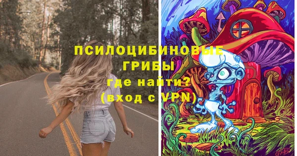 шишки Алзамай