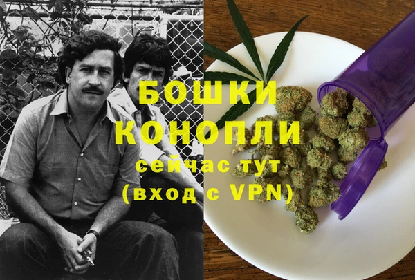 шишки Абинск
