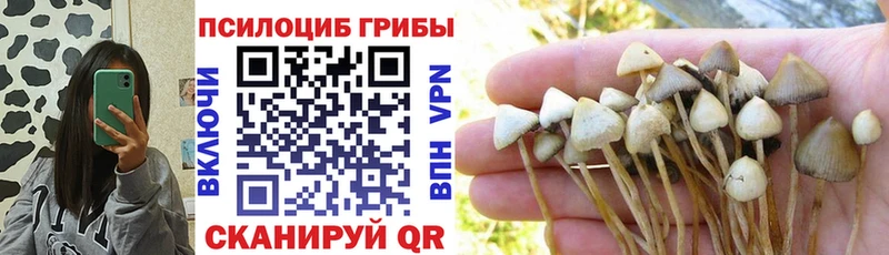 Псилоцибиновые грибы MAGIC MUSHROOMS  Дубовка 